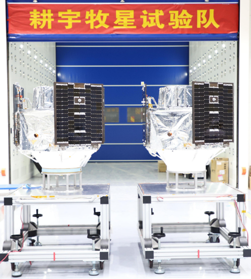 佛山1号/齐鲁4号