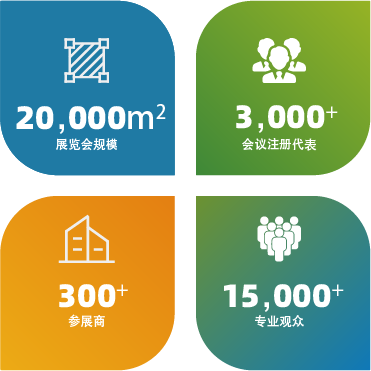 规模(中像素)